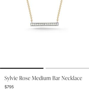 Dana Rebecca Sylvia Rose medium necklace